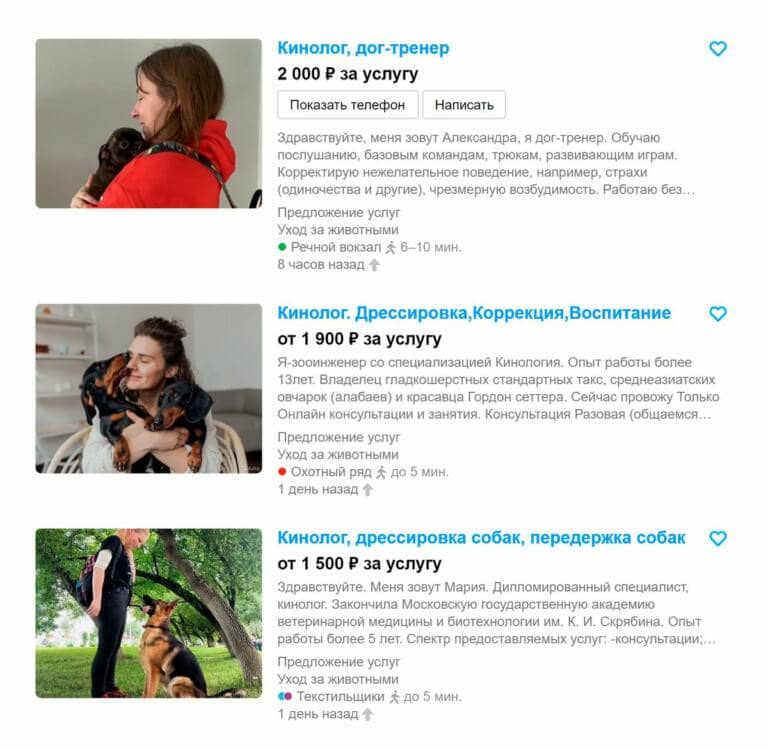 Дрессировка таксы: общая дрессировка дома, основные команды, советы и рекомендации по дрессировке на улице, а также отзывы владельцев собак
